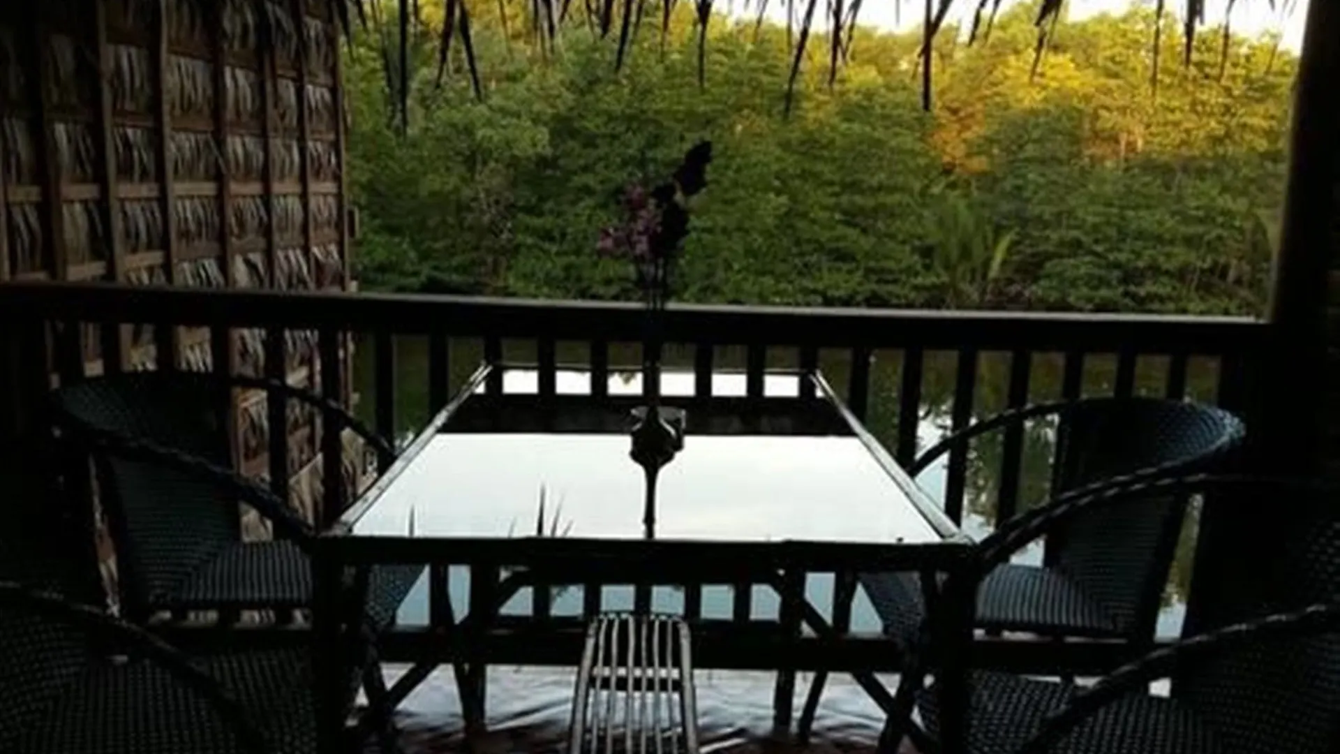 Mangroves & More Sihanoukville